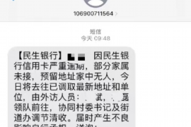 枣庄市讨债律师在线咨询：专业法律支持，助您轻松解决债务纠纷